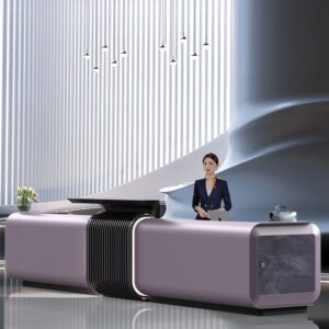 Hotel Modern Office Reception Lobby Big Desk Front Desk Reception Counter